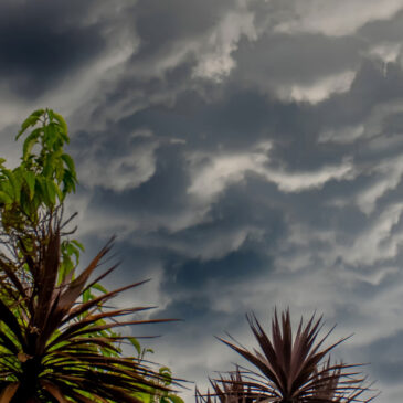 Preparing Your Home’s Electrical System for Storm Season in Brisbane
